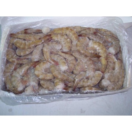 COLA LANG.26/30 2 K.COHINO