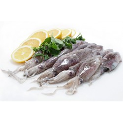 CALAMAR NC G 23KG APR SOFINA