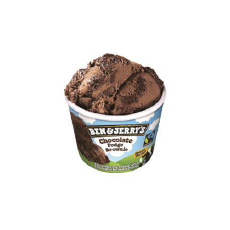 B&J FUDGE BROWNIE 12X100