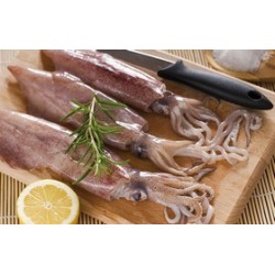 CALAMAR NC M 20KG/APRO SOFINA