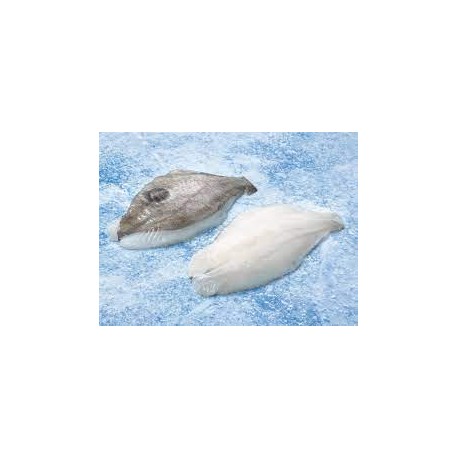 FTE GALLO 200/300 6KG S.PEDRO