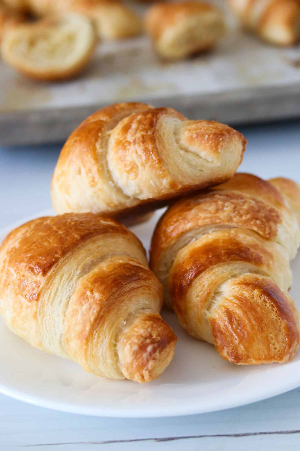 how-to-make-croissant-dough-4