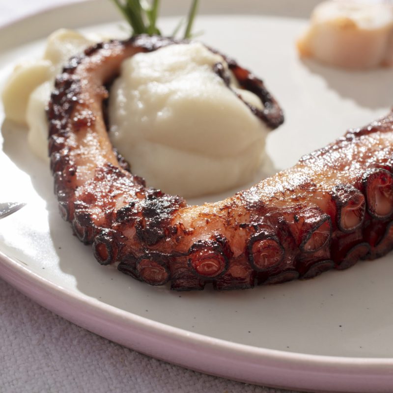 close-up-delicious-spanish-food
